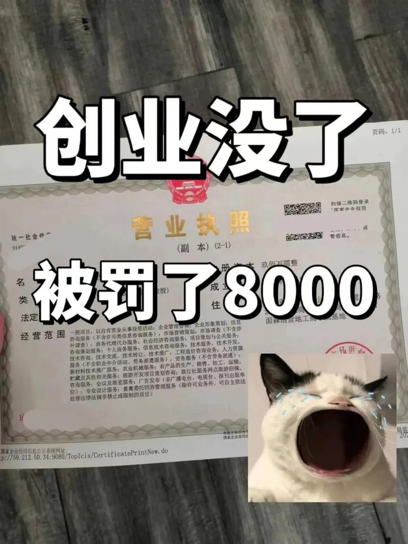 办了营业执照,结果没记账报税!被罚了